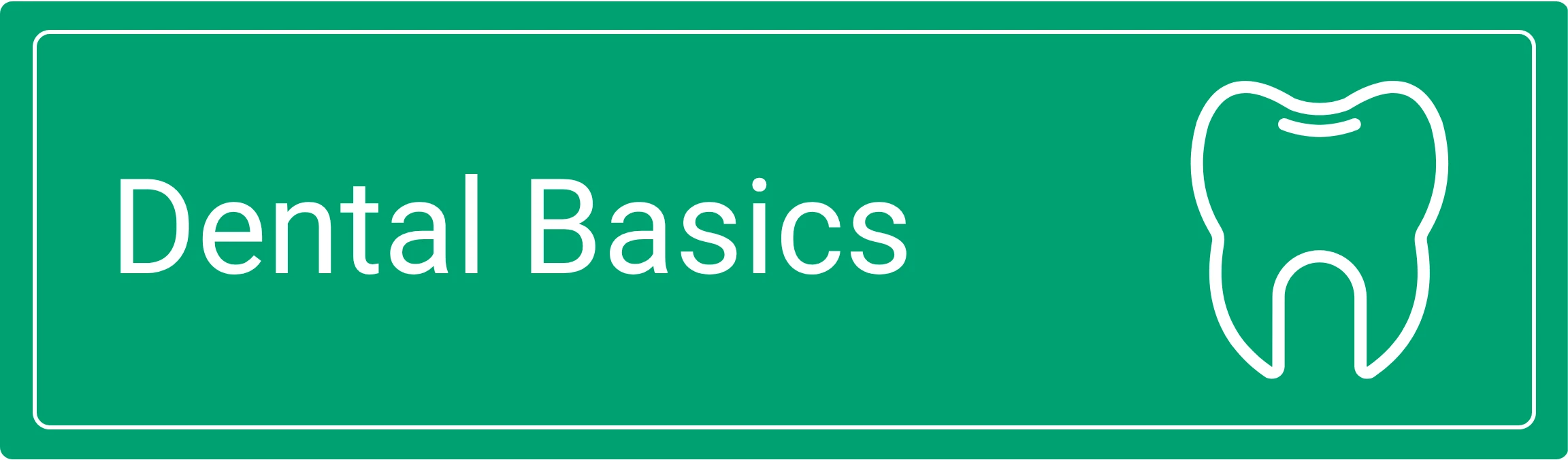 Dental Basics